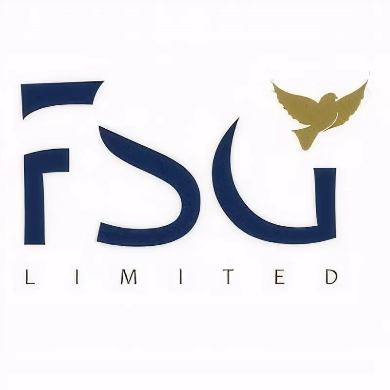 FSG LIMITED